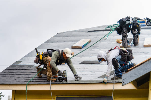 Professional Gutter Installation technician working in Bellville, TX